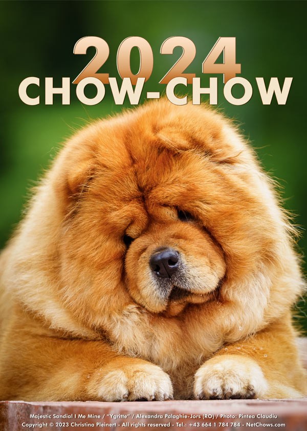 Savage Love of Swiss Premium Chows, Kerstin Julia Puchner (A)