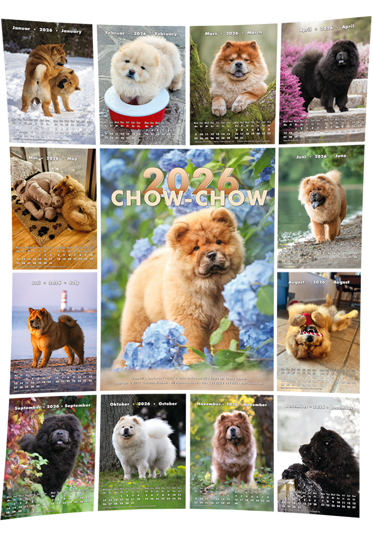 Chow-Chow Kalender 2026 Chow-Chow Kalender 2026